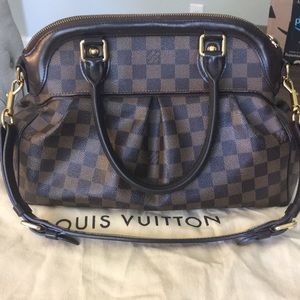 Trevi Louis Vuitton bag